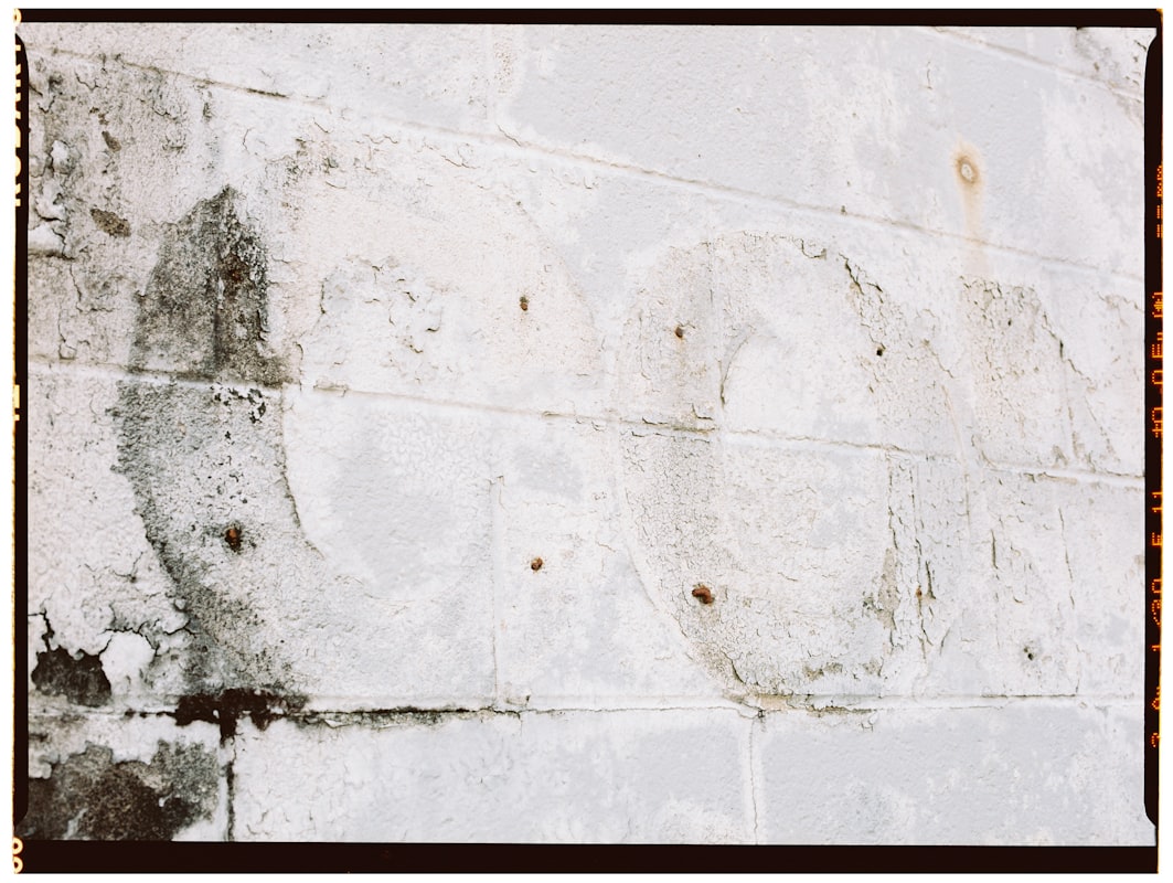 Water Extraction service in Lakeville, MN