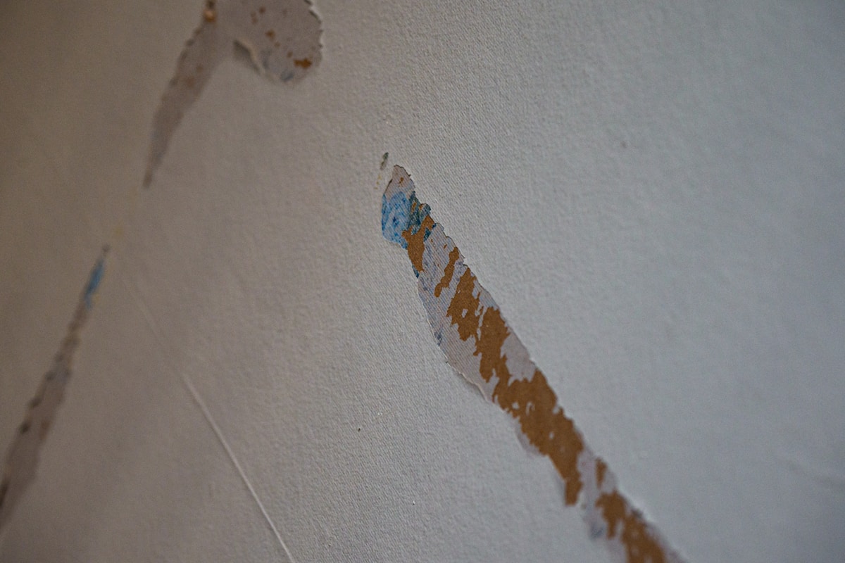 Mold Remediation service in Lakeville, MN